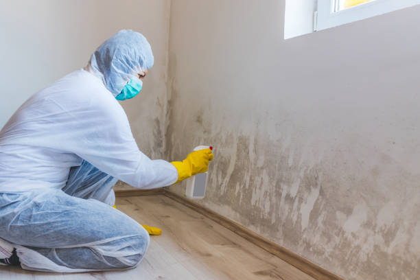 Crawl Space Mold Removal in Drexel, NC