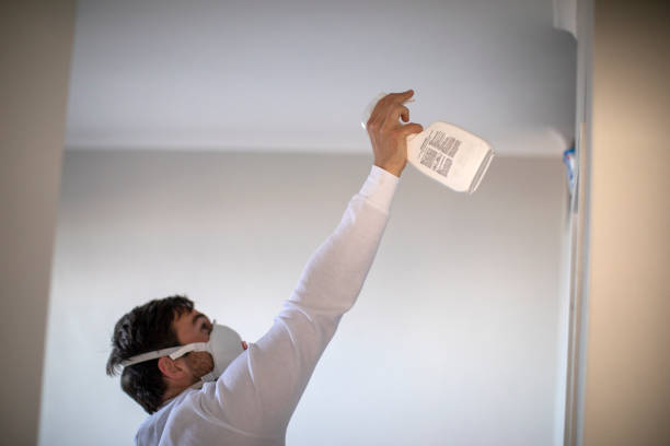 Best Mold Cleaning Services  in Drexel, NC