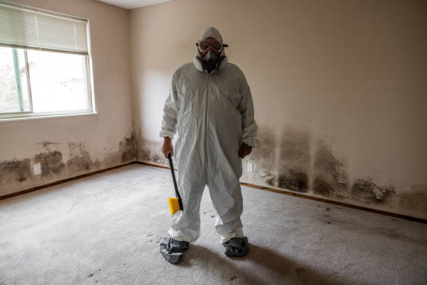 Best Professional Mold Removal  in Drexel, NC